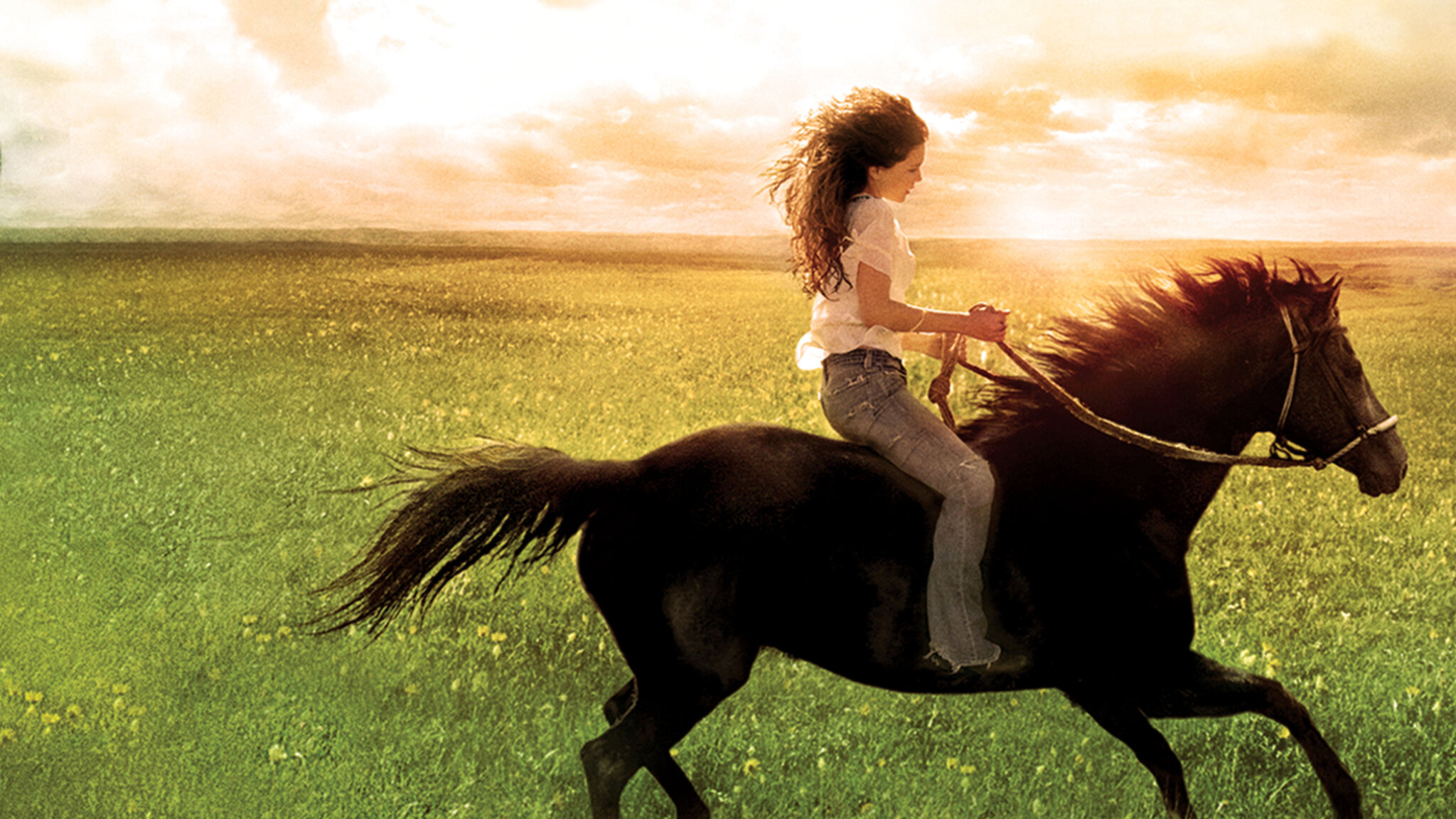 내 사랑 플리카, 지금 시청하세요 | 넷플릭스