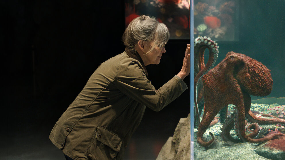 Trailer: Remarkably Bright Creatures