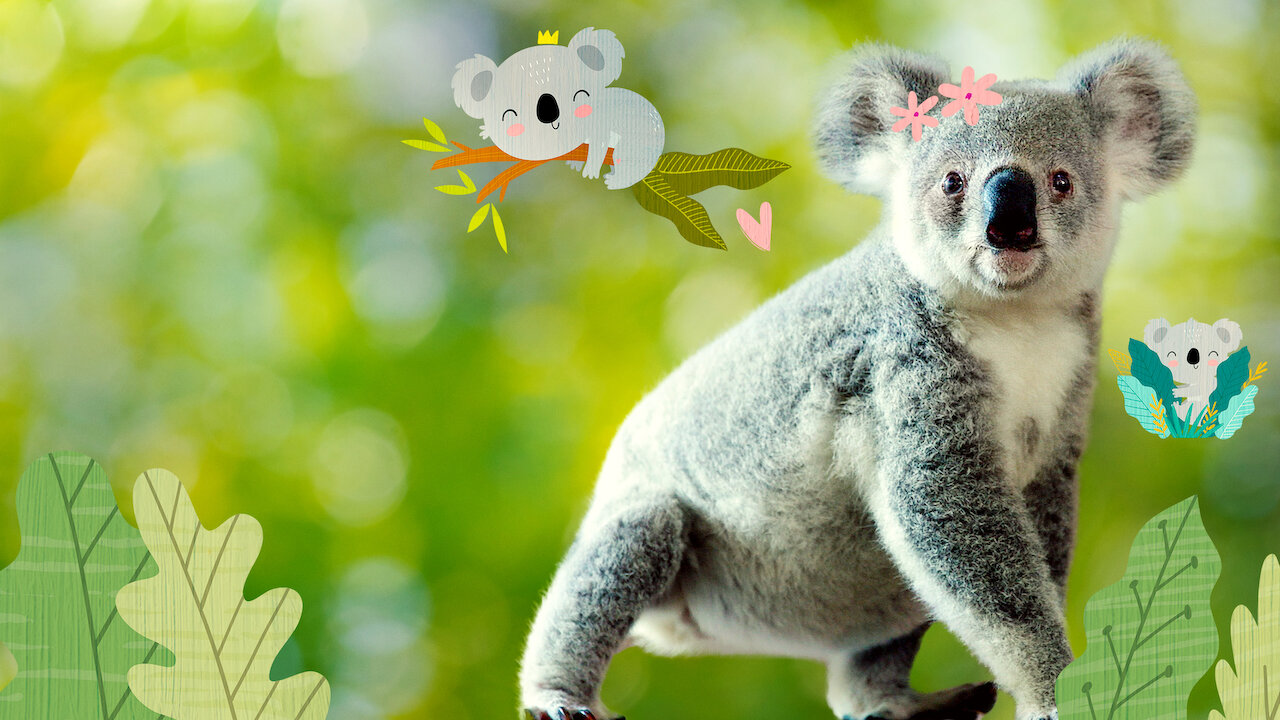「Koala」A子 お願いします Shop Plush Toy Koala – AO25 Collection – AO Official Store