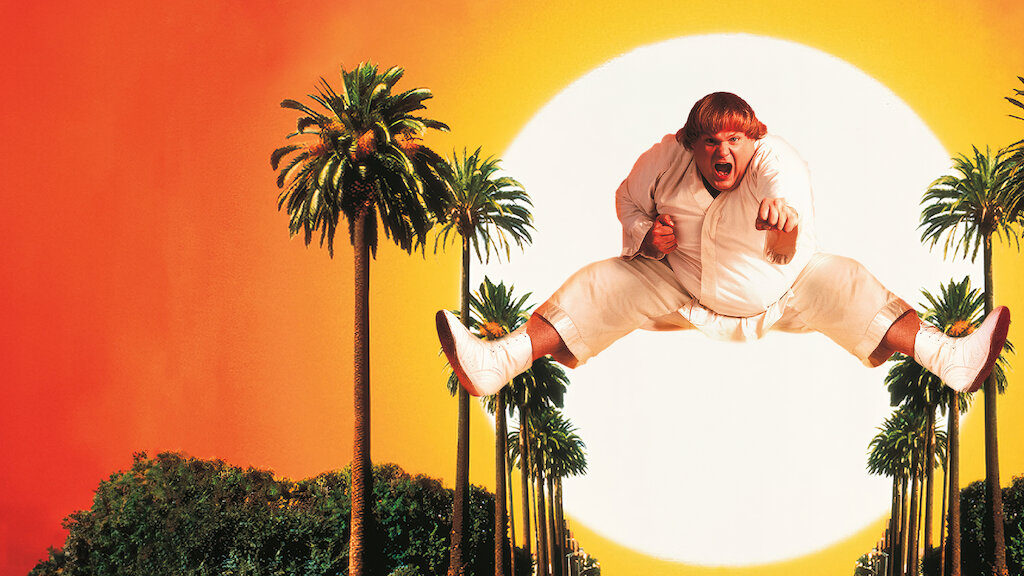 beverly hills ninja chef