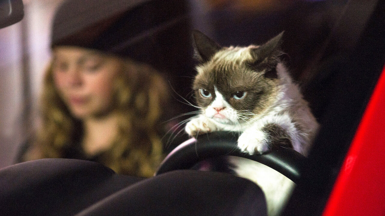 Watch Grumpy Cat's Worst Christmas Ever | Netflix