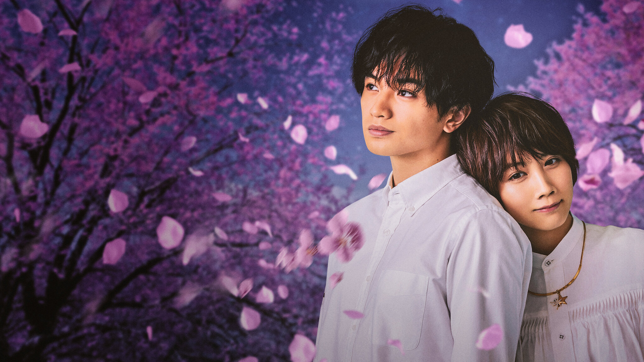 桜のような僕の恋人 | Netflix (﻿ネ﻿ッ﻿ト﻿フ﻿リ﻿ッ﻿ク﻿ス﻿) 公