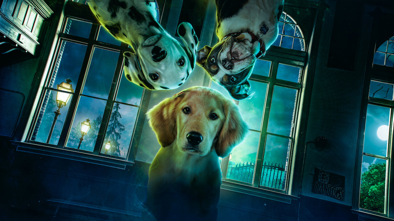 Cachorros fantasmas | Sitio oficial de Netflix