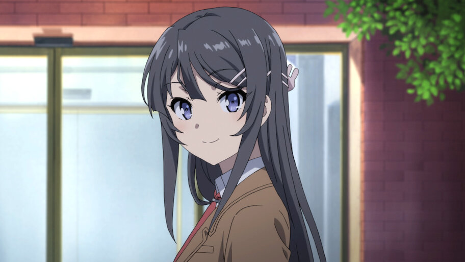 青春ブタ野郎はバニーガール先輩の夢を見ない | Netflix