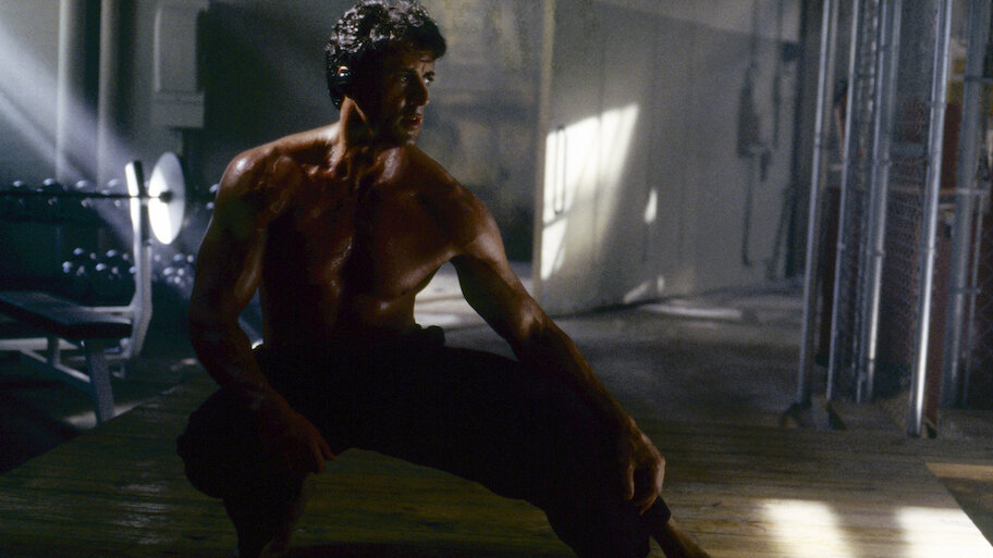 Watch The Specialist | Netflix