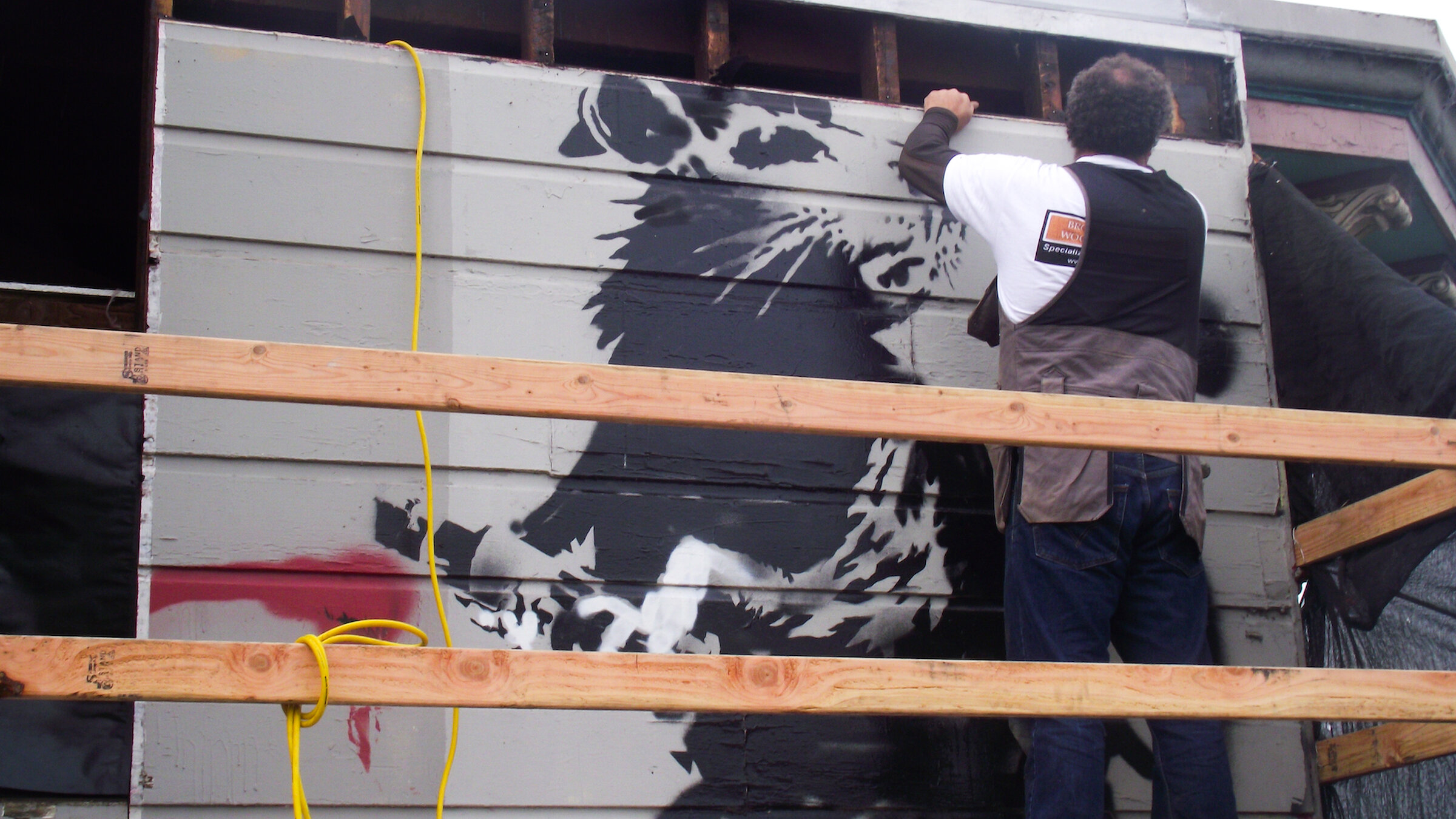 その他 Saving Banksy [DVD] [Import] lok26k6 Saving Banksy [DVD] [Import] lok26k6