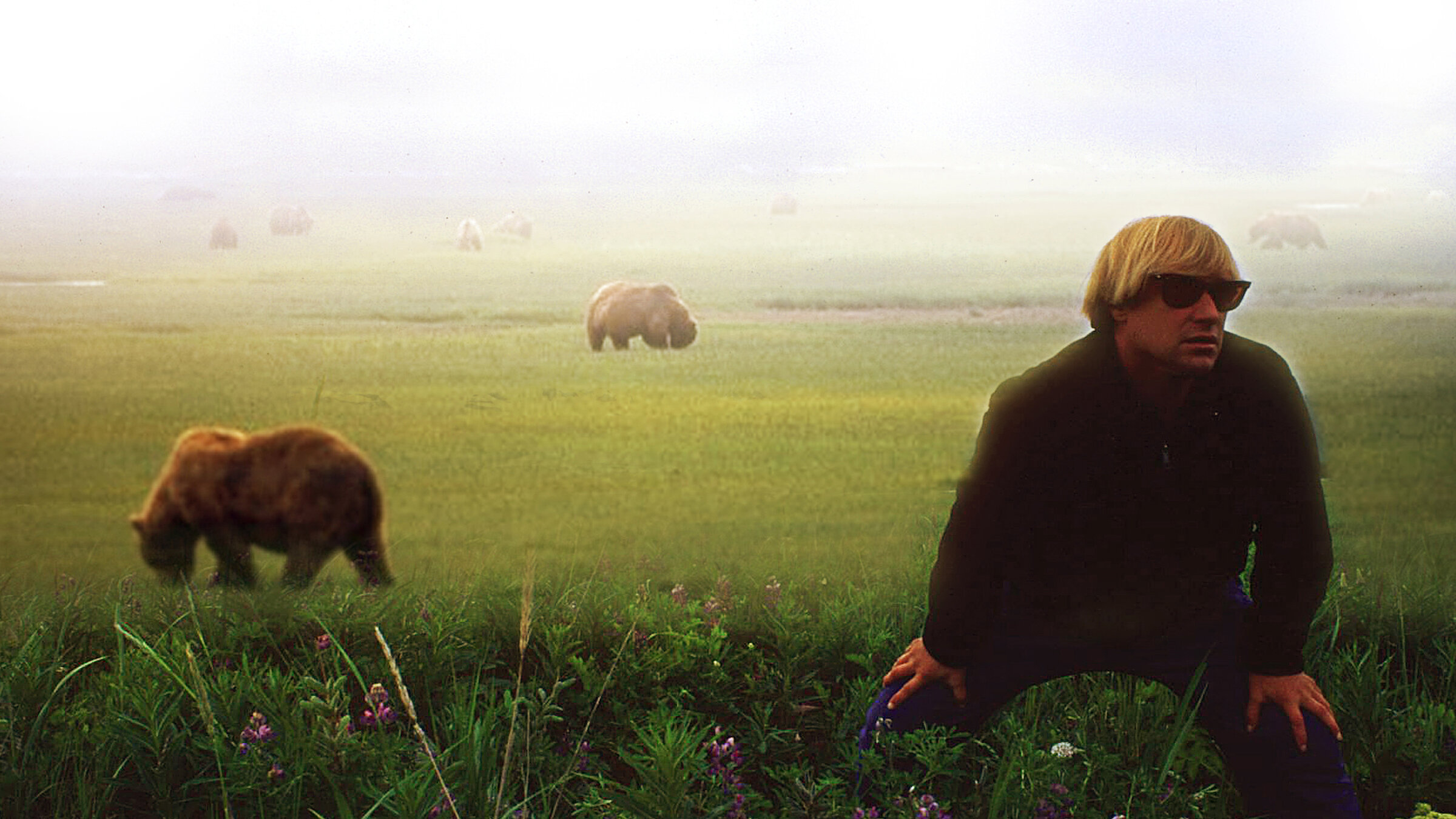 Watch Grizzly Man Diaries | Netflix