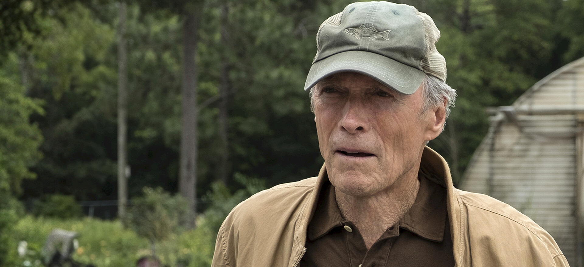 Watch The Mule | Netflix