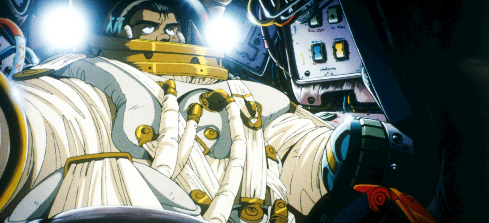 まるで宇宙空間を彷彿とさせられる　豪州の美麗ツチハンミョウ AAAABc8eDpt4djBEbmRyOPRvJ-