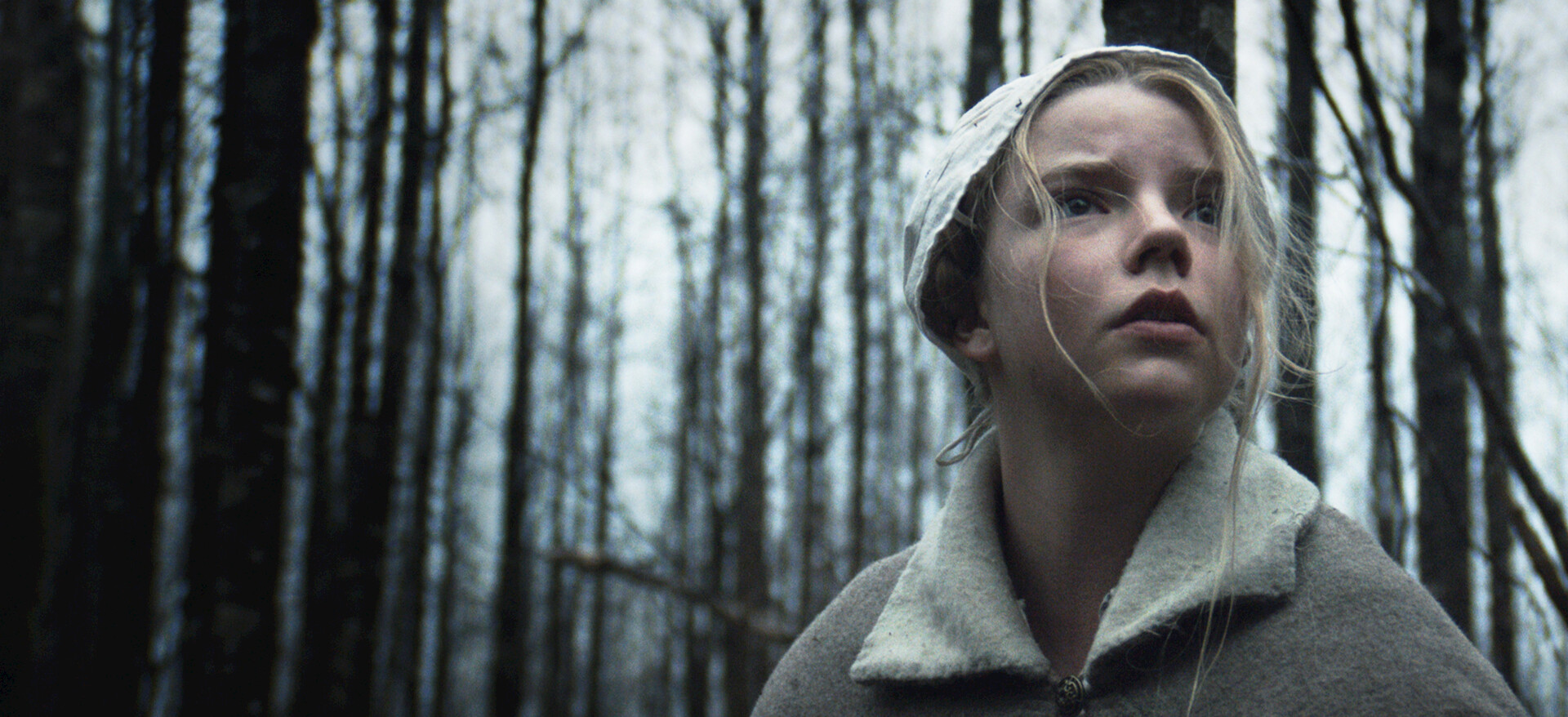Watch The Witch | Netflix