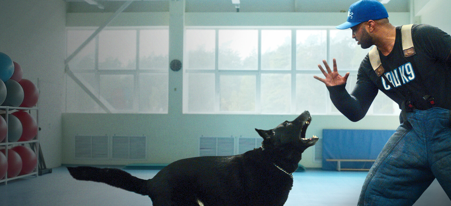 CALI K9: どんな犬でもしつけます﻿を観﻿る | Netflix (﻿ネ﻿ッ﻿ト﻿フ﻿リ
